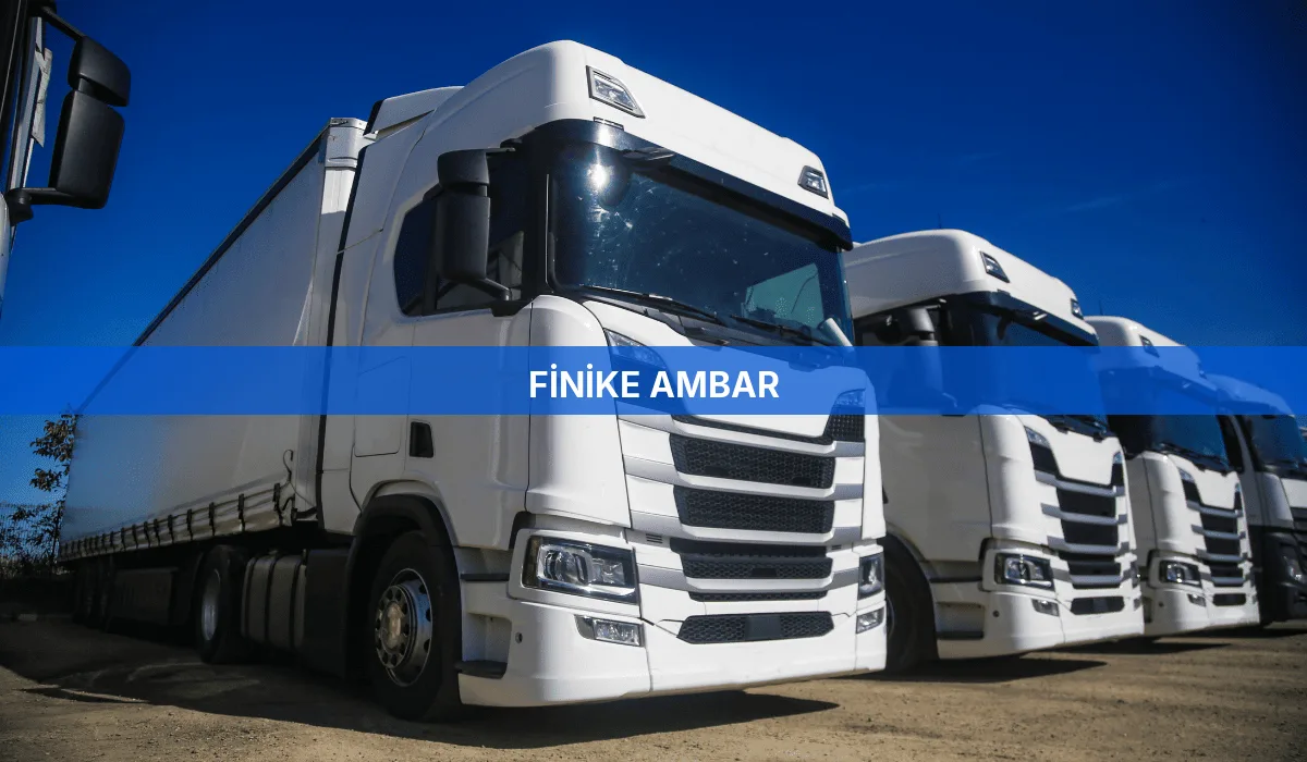 Finike Ambar